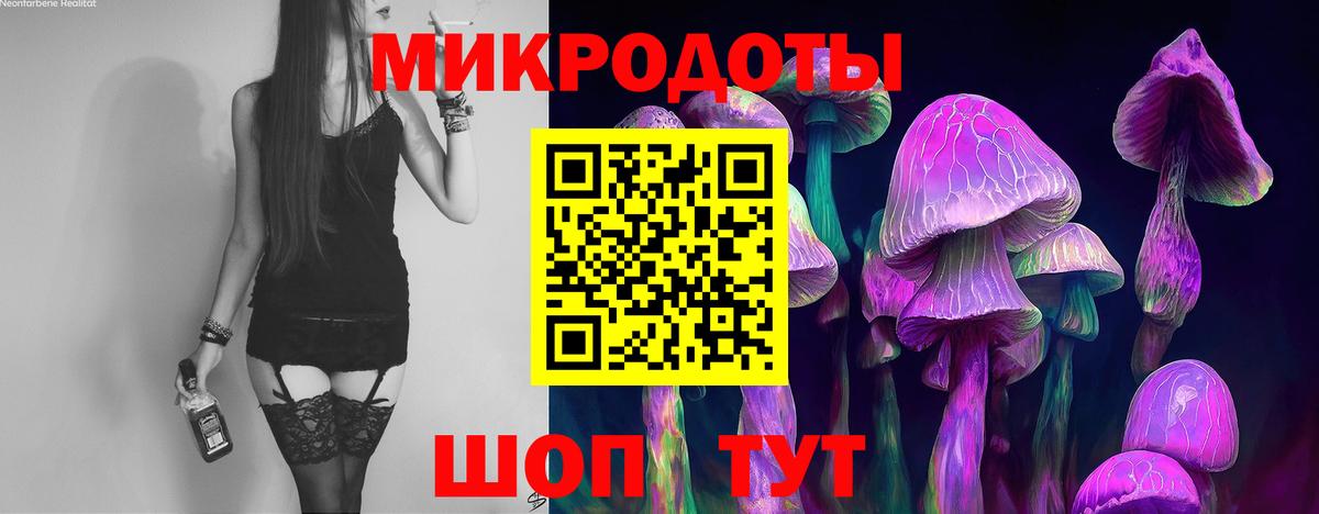 где найти наркотики  Вход с VPN  Псков  Галлюциногенные грибы GOLDEN TEACHER 